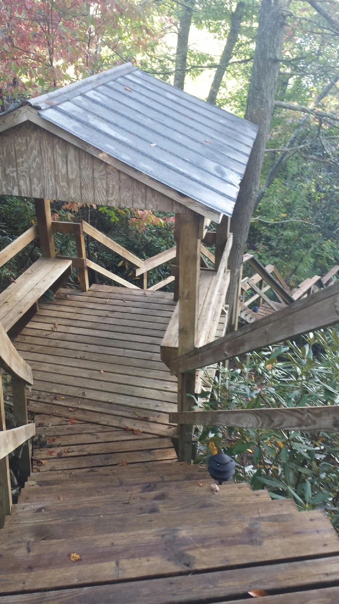 Metal roofed shelter over wooden steps on a wooded walkway — Skylight Repair & Installation work by our crew in Blue River