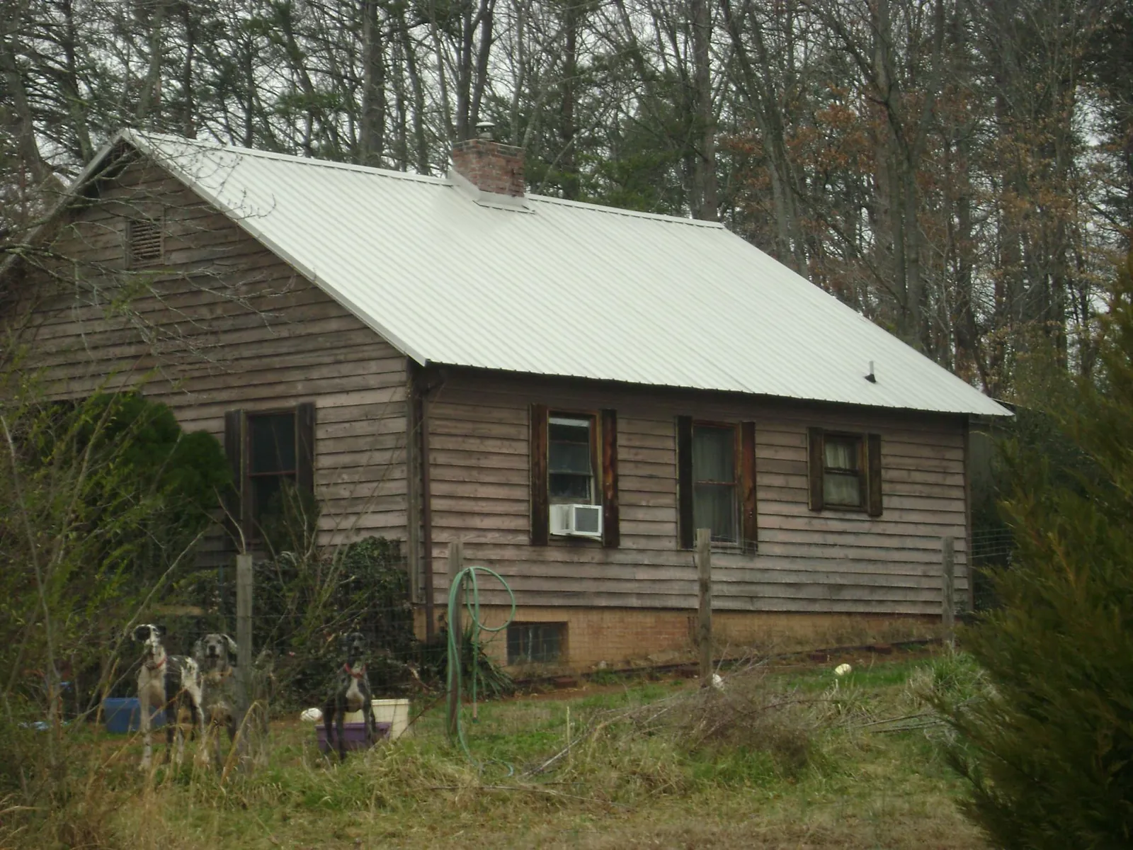 White metal roof on an old wood sided farmhouse, from a Asphalt Shingle Roof Repair job in Blue River